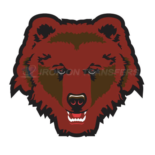 Brown Bears Iron-on Stickers (Heat Transfers)NO.4031